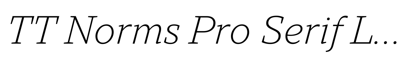 TT Norms Pro Serif Light Italic